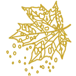 Cellular Senescence
