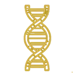 Genomic Instability