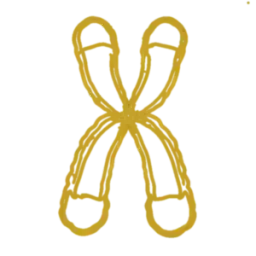 Telomere Attrition